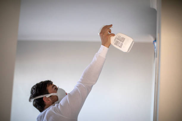 Best Attic Mold Removal  in Freeland, MI